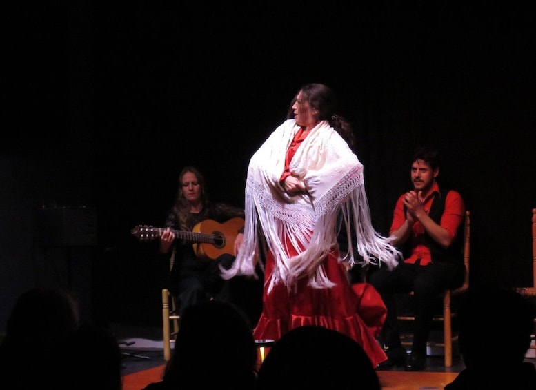 Picture 3 for Activity Valencia: Flamenco Show at Ca Revolta Theater