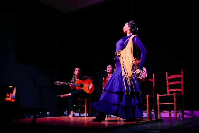 Picture 7 for Activity Valencia: Flamenco Show at Ca Revolta Theater