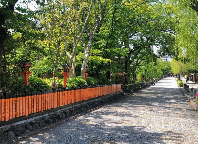 Picture 5 for Activity Kyoto: Meet the Geisha Maiko with Gion Walking Tour