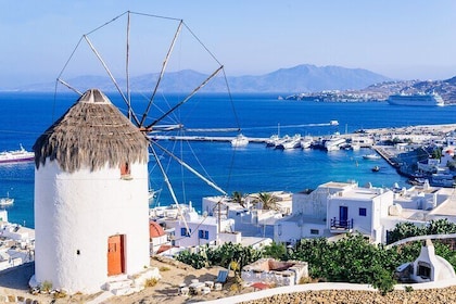 Majestic Mykonos Tour for the First Time Cruise Visitors