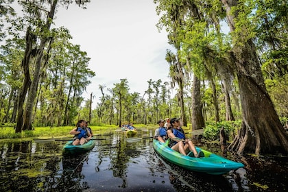 Nueva Orleans: recorrido mágico en kayak por el pantano de Manchac