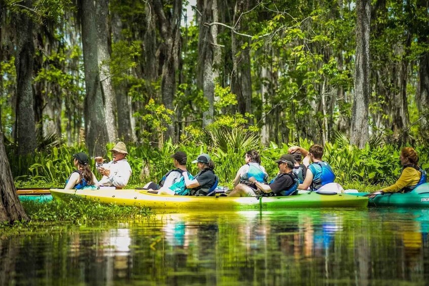 Picture 9 for Activity New Orleans: Manchac Magic Kayak Swamp Tour