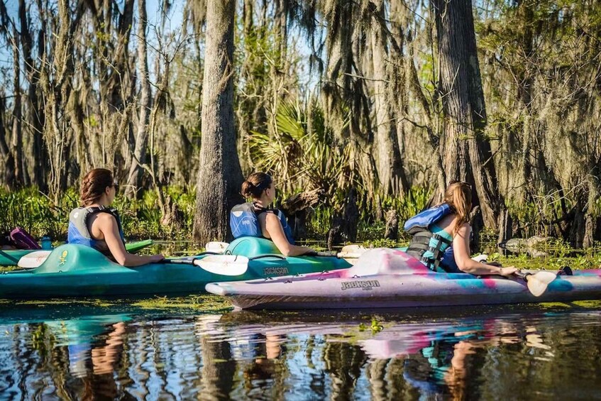 Picture 5 for Activity New Orleans: Manchac Magic Kayak Swamp Tour