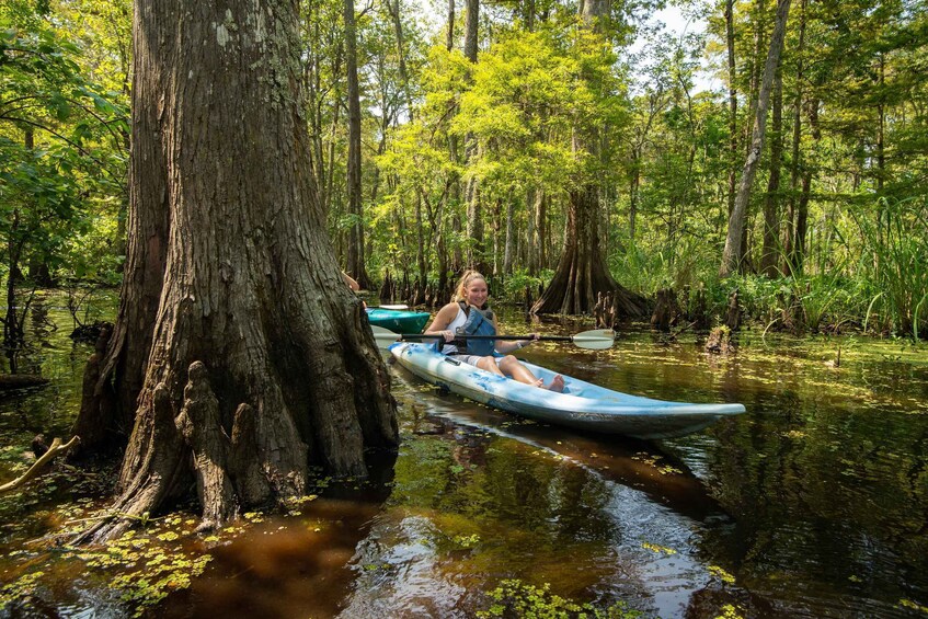 Picture 2 for Activity New Orleans: Manchac Magic Kayak Swamp Tour