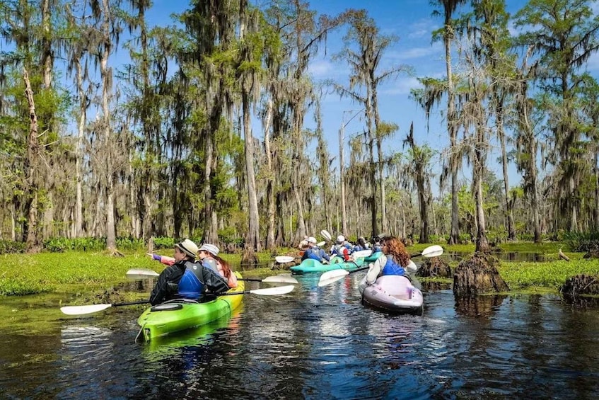 Picture 3 for Activity New Orleans: Manchac Magic Kayak Swamp Tour