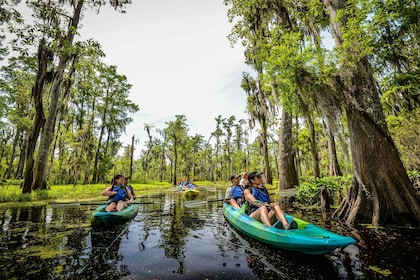 นิวออร์ลีนส์: Manchac Magic คายัค Swamp Tour