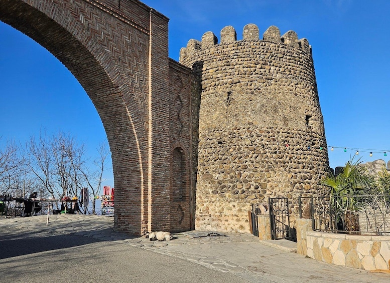 Picture 5 for Activity Flavors & Scenery of Kakheti: Wine, Culture, Heritage Tour