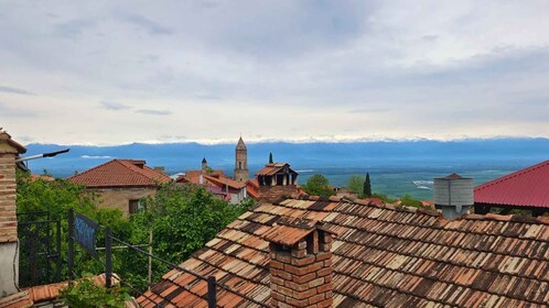 Eintägige Tour durch Kachetien ab Tiflis, kostenlose Weinverkostung