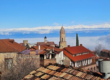 Eendaagse tour in Kakheti met gids en gratis wijnproeverij