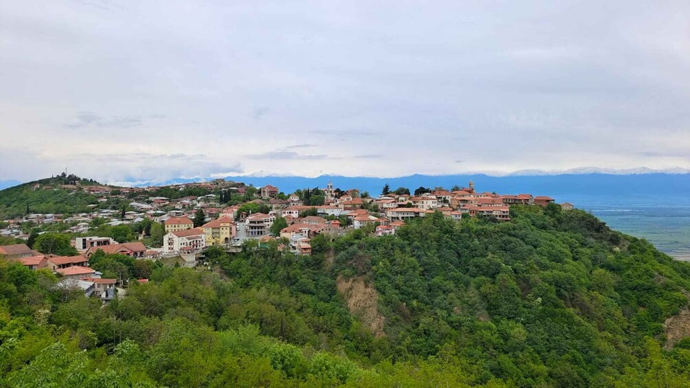 Picture 1 for Activity One-day tour of Kakheti from Tbilisi, free wine tasting