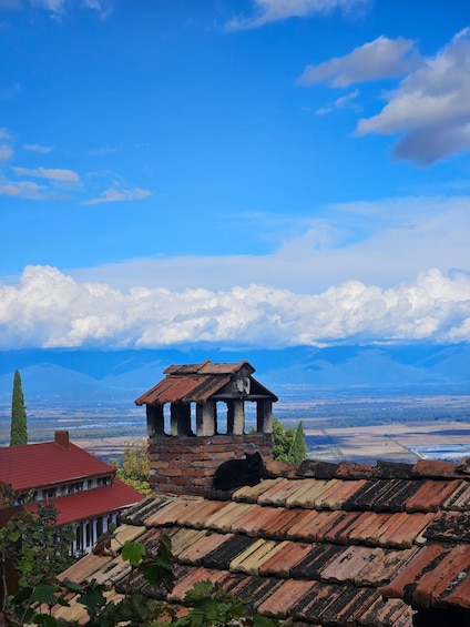 Picture 7 for Activity Flavors & Scenery of Kakheti: Wine, Culture, Heritage Tour