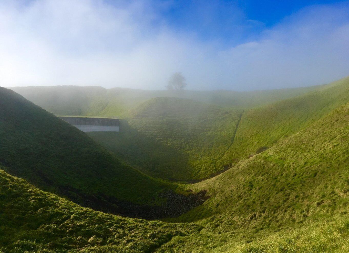 Auckland: Half-Day Auckland Volcanoes Tour