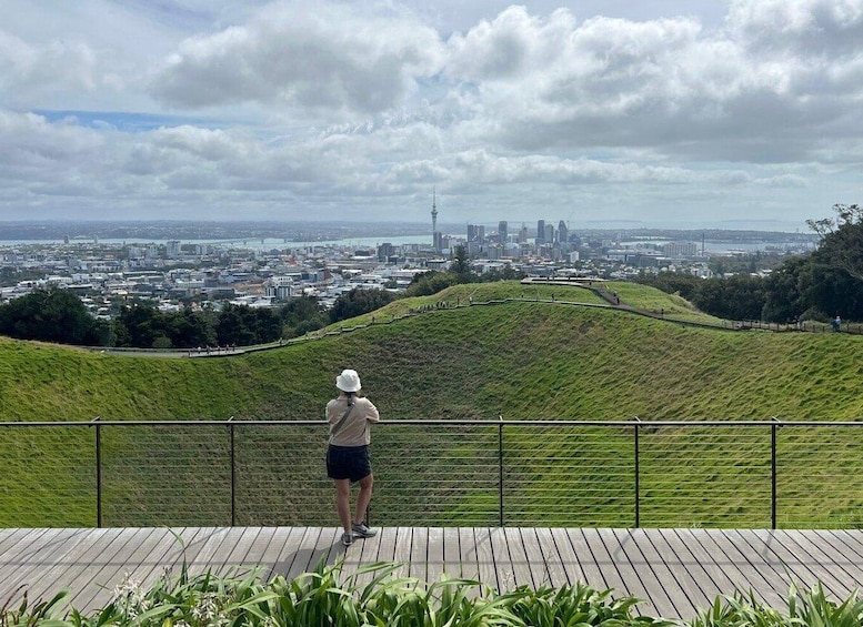 Auckland: Half-Day Auckland Volcanoes Tour