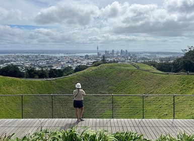Auckland: Halve dag vulkanen tour in Auckland