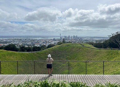 Auckland: Halvdagstur til Aucklands vulkaner