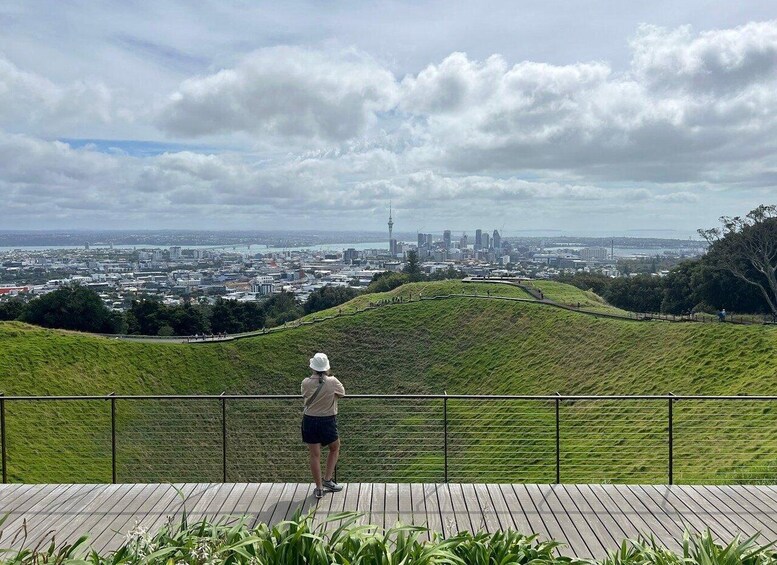 Auckland: Half-Day Auckland Volcanoes Tour