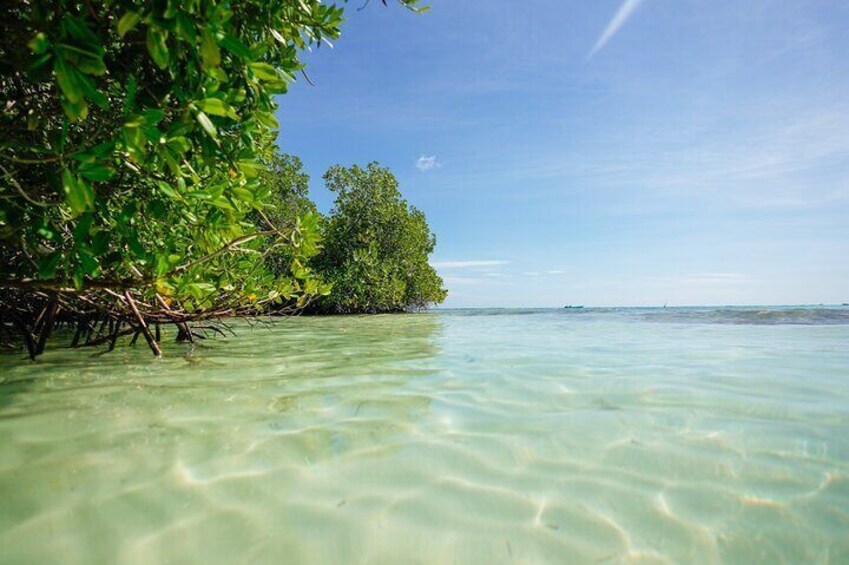 Guided Padi Discover Scuba Diving for Non-Certified Divers