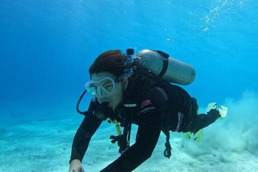 Guided Padi Discover Scuba Diving for Non-Certified Divers