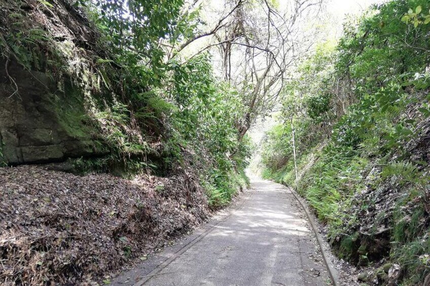 Kamegayatu-zaka slope, 900 year old cut through