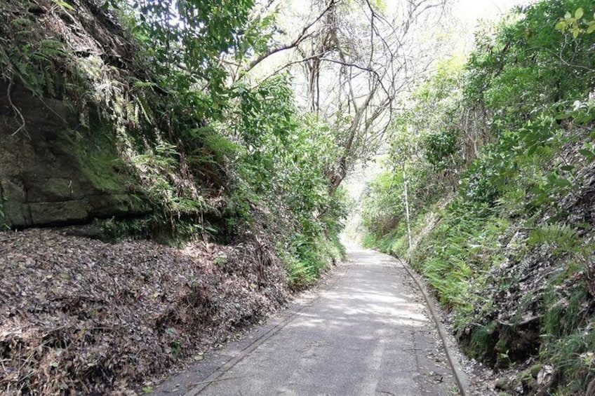 Kamegayatu-zaka slope, 900 year old cut through