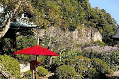 Private Tour of North Kamakura Temples with licensed guide