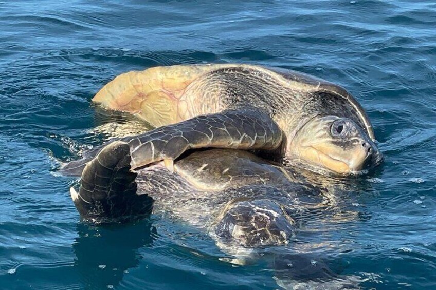 3 Hour Ocean Kayak Fishing Adventure