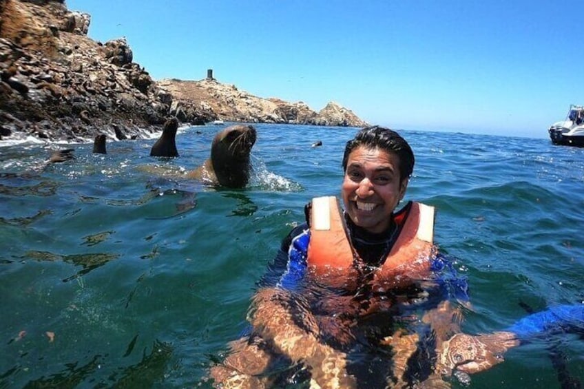 Swimming with Sea Lions in Islas Palomino Lima