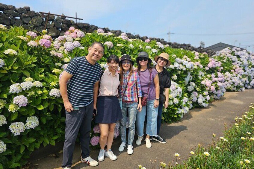 Jumbo Taxi Package Tour to All Areas in Jeju Island