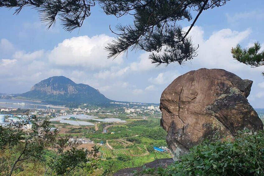 Small group tour FULL - PACKAGE Tour to All Areas in Jeju Island