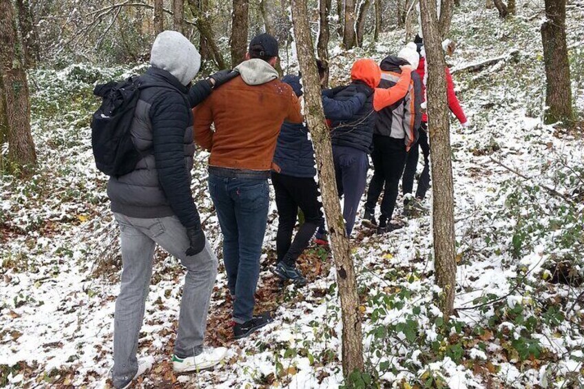 Meditative walk in the forest