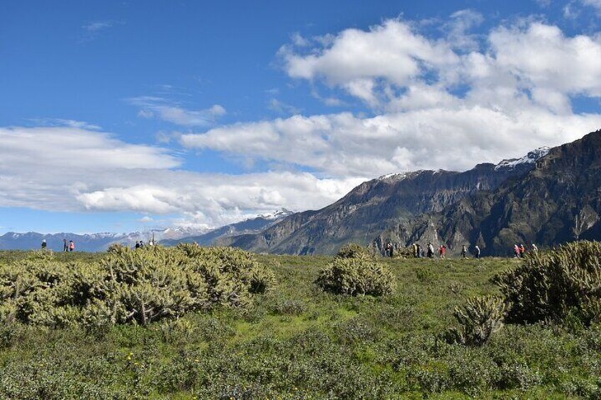 Impressive landscapes Colca Valley.