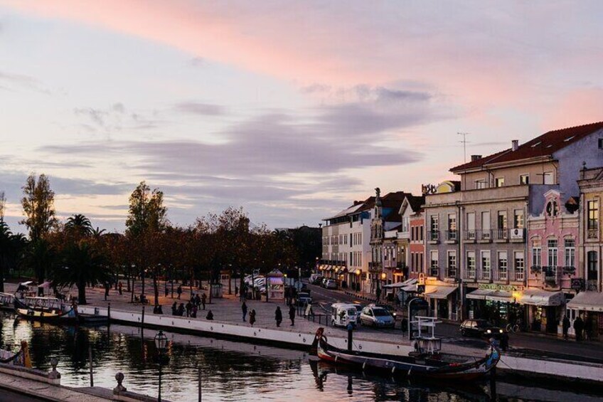 Excursion to Aveiro and Costa Nova with moliceiro boat ride