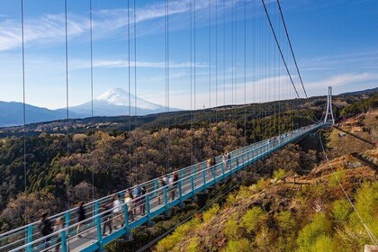 Full Day Private Tour in Hakone