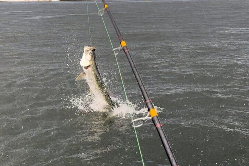 Tarpon & Snook Fishing Charter in Ft. Lauderdale