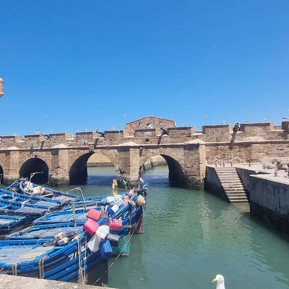 Essaouira Small Group tour