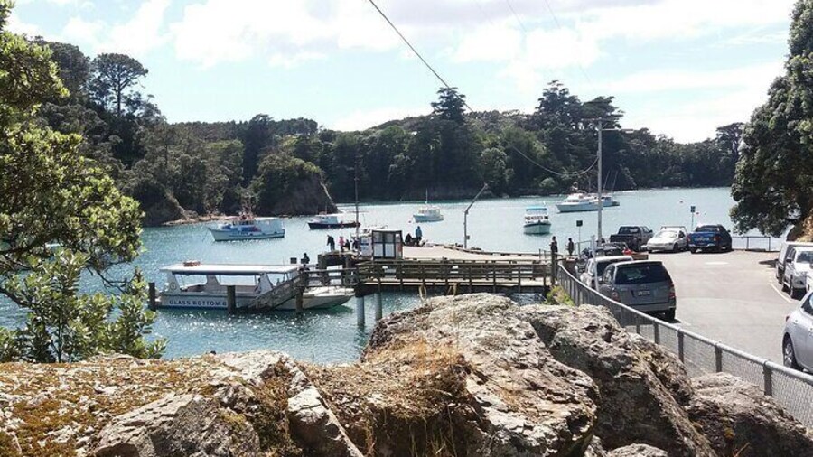 Private Auckland North Eastern Coast Tour
