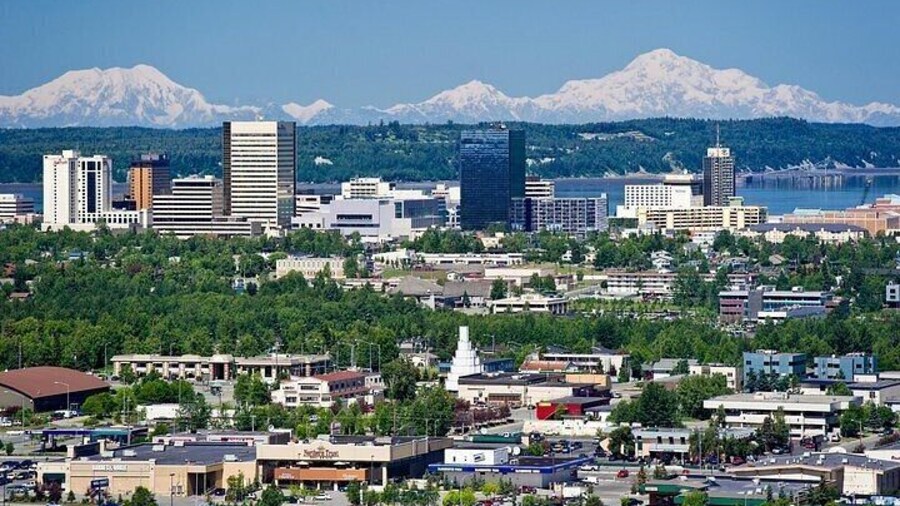City and Wildlife Conservation Center Tour in Anchorage, Alaska