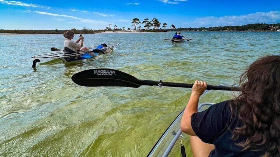 Clear Kayak Ecotour Destin Ft. Walton Beach