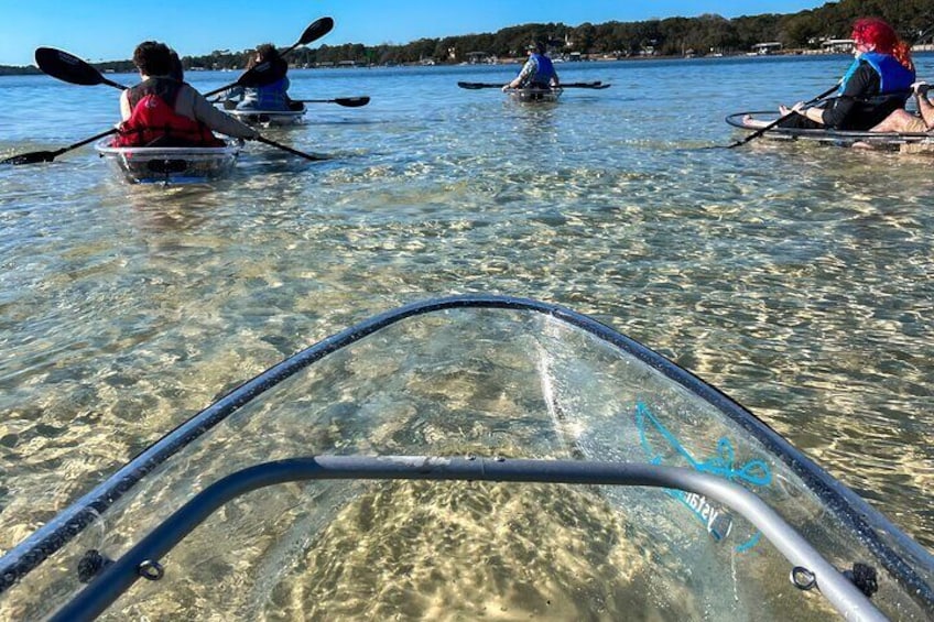 Clear Kayak Ecotour Destin Ft. Walton Beach