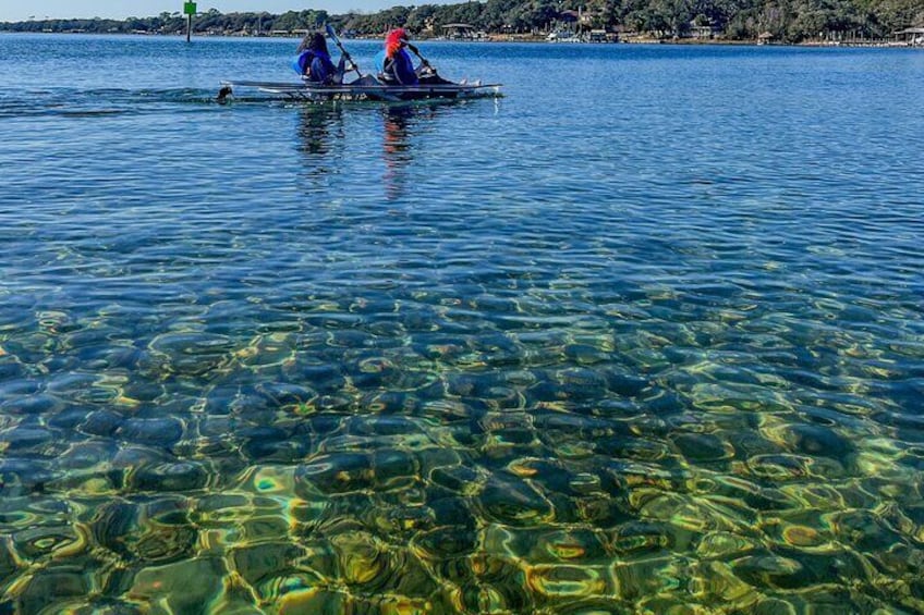 Clear Kayak Ecotour Destin Ft. Walton Beach