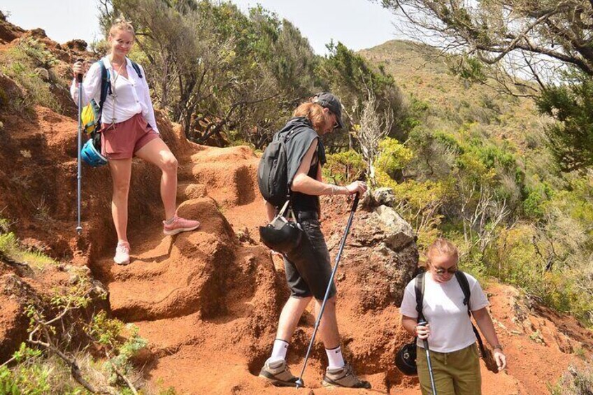 Tenerife: Hiking in Anaga Mountains and Enchanted Laurel Forest 