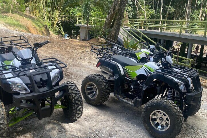 Skip the line Atv, Horse Back Riding and Zipline from Montegobay