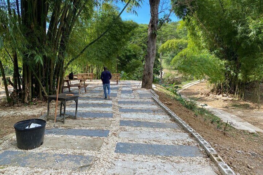 Skip the line Atv, Horse Back Riding and Zipline from Montegobay