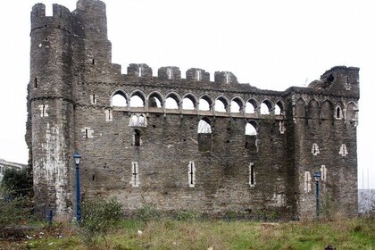 Swansea Historical and Cultural Private Tour with Local Guide