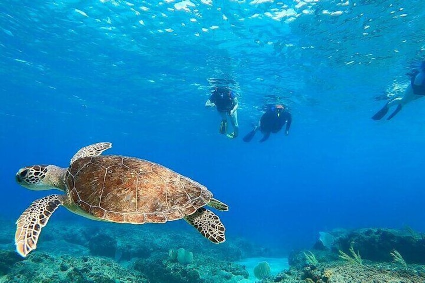 Snorkeling Aguadilla for Families with Children