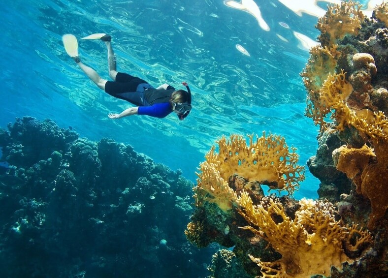 7 Islands Speedboat to Twilight Treasures from Krabi