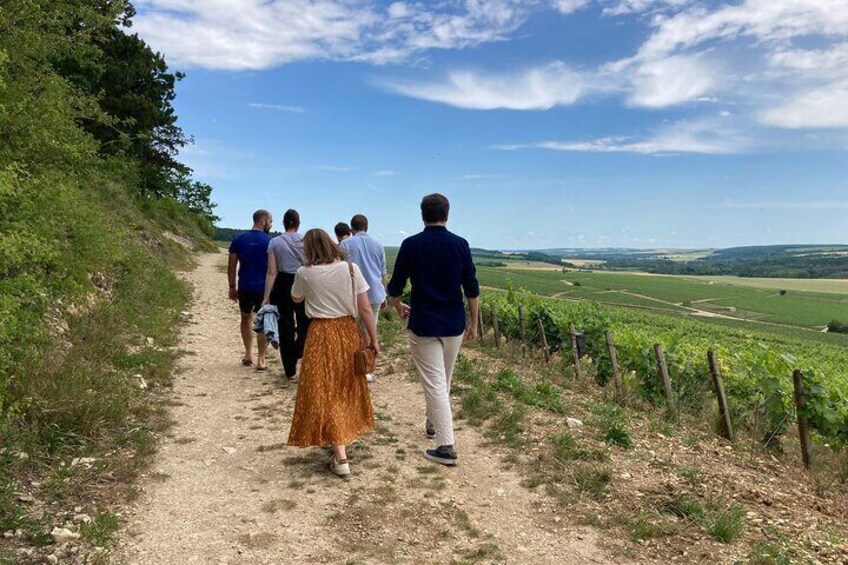 Walk in the vineyards of Chablis Grands Crus