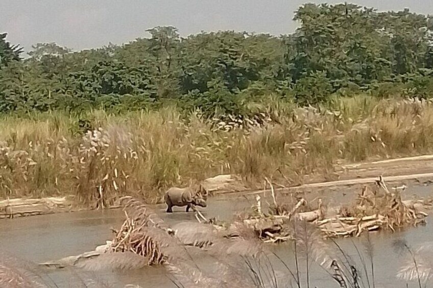 Chitwan National Park PVT. Jeep Safari untouched Side from Madi