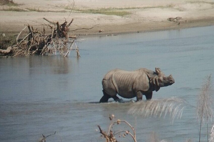 Chitwan National Park PVT. Jeep Safari untouched Side from Madi