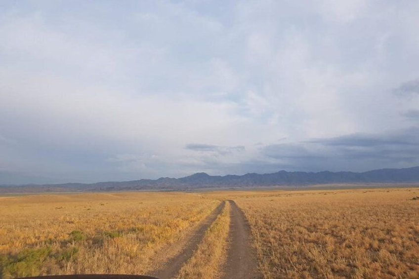 2 Days Private Tour in Kolsai, Kaindy lakes, and Charyn Canyon